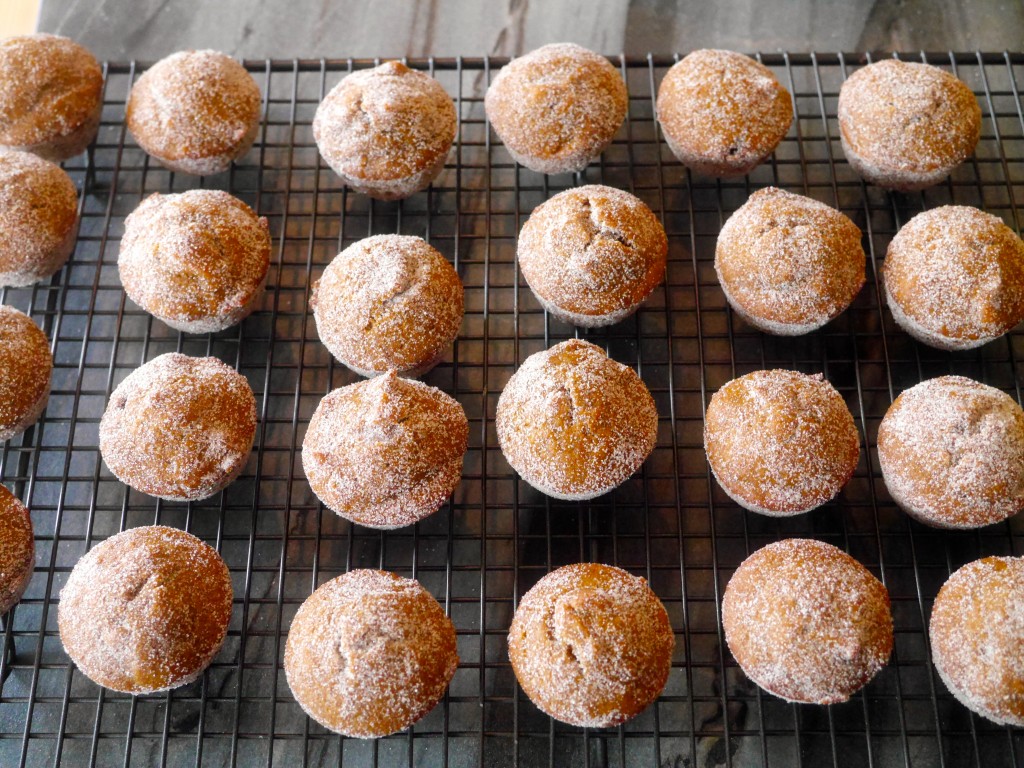 Mini Pumpkin Spice Doughnut Muffins Mini Pumpkin Spice Doughnut Muffins