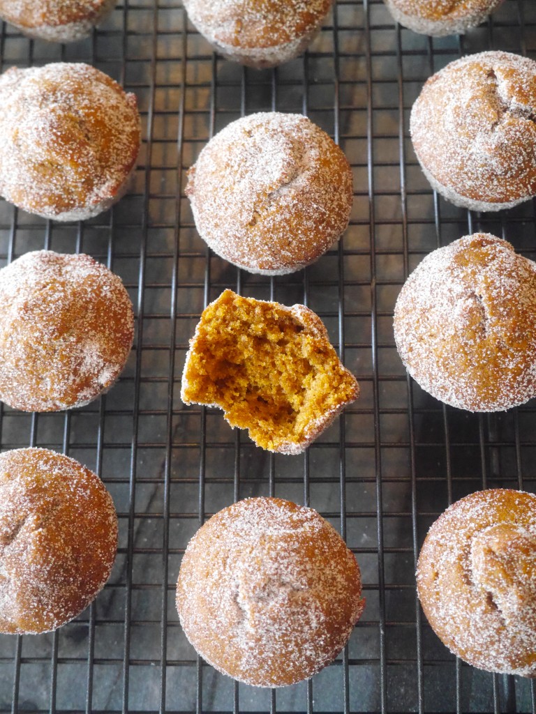 Mini Pumpkin Spice Doughnut Muffins Mini Pumpkin Spice Doughnut Muffins