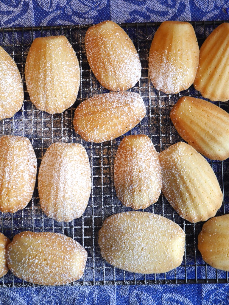 Classic French Madeleines Classic French Madeleines